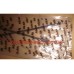 Трос капота Amulet Asian A15-8402110