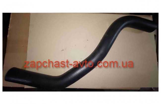 Патрубок нижний радиатора Kia Cerato 1.6, KAP (BSC), 25412-2F000, 254122F000