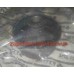 Сайлентблок переднего рычага задний Geely MK FT 1014001609, 1347-17SG