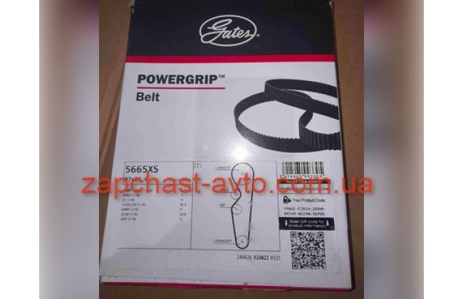 Ремень ГРМ Amulet, Forza Gates 480-1007081BA, 5665XS